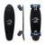 Skate Cruiser Hondar Montado Shape Maple Completo Penny Old